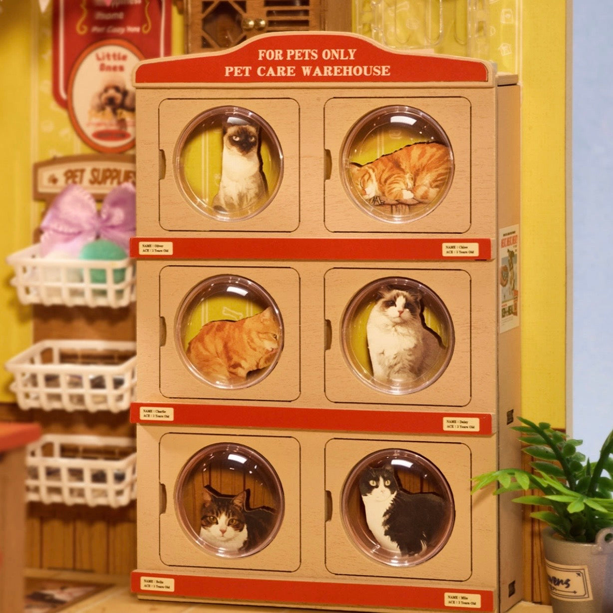 Rolife DIY Miniature House - Fluffy Friends Store DG185